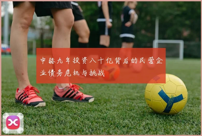 中赫九年投资八十亿背后的民营企业债务危机与挑战