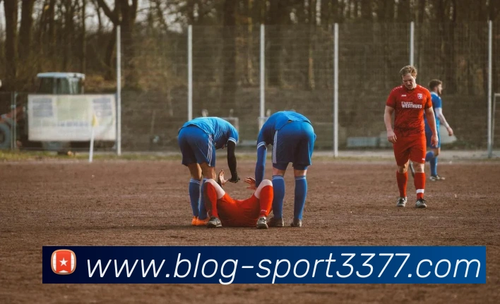 3377体育APP 封面图